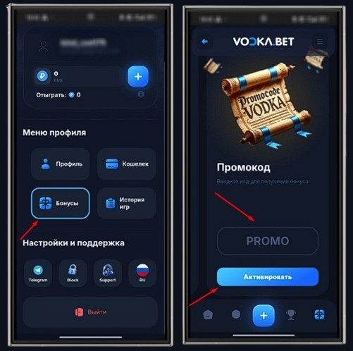 Применение промокода в Vodka Casino
